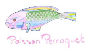 poisson_perroquet
